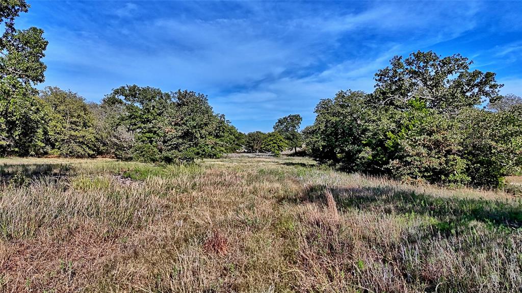 Lot 77 Red Oak Hills Road - Photo 4