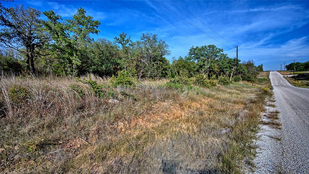 Lot 77 Red Oak Hills Road - Photo 5