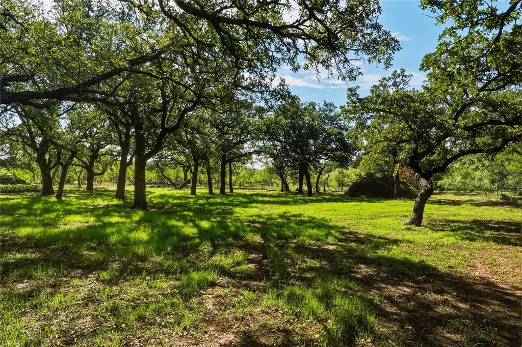 79.72 Acres 114 Highway W - Photo 14