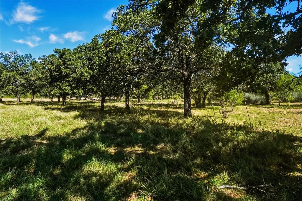 79.72 Acres 114 Highway W - Photo 20