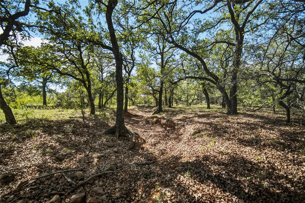 79.72 Acres 114 Highway W - Photo 28