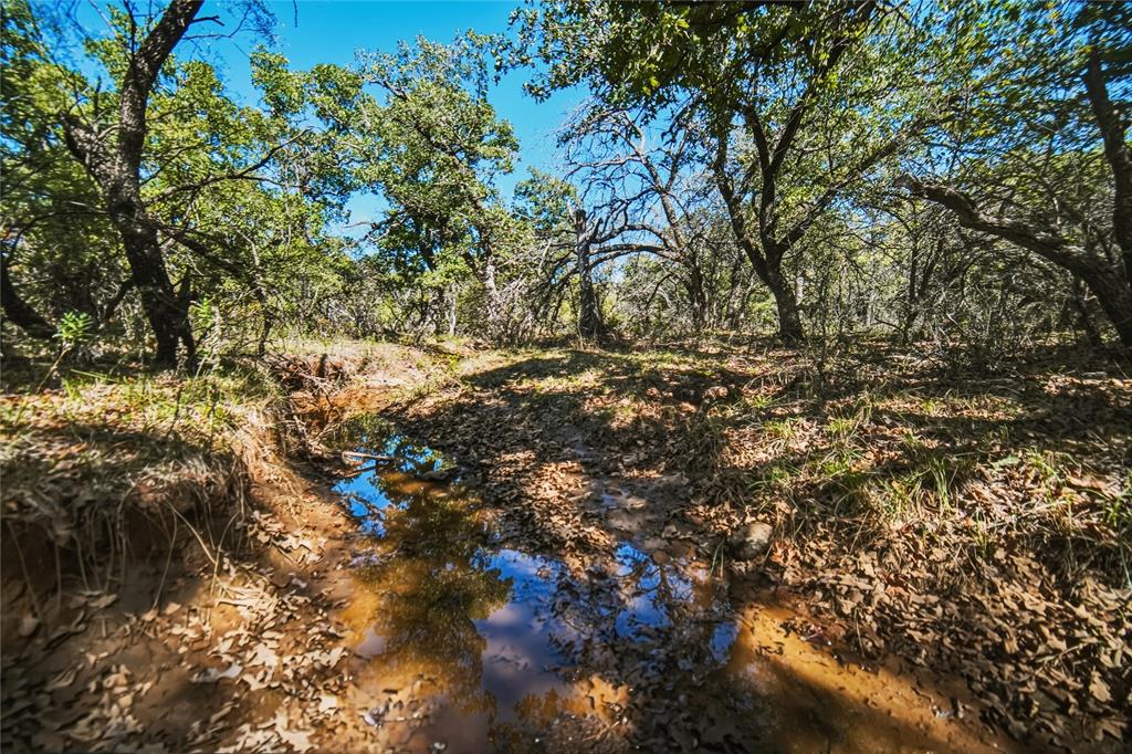 79.72 Acres 114 Highway W - Photo 30