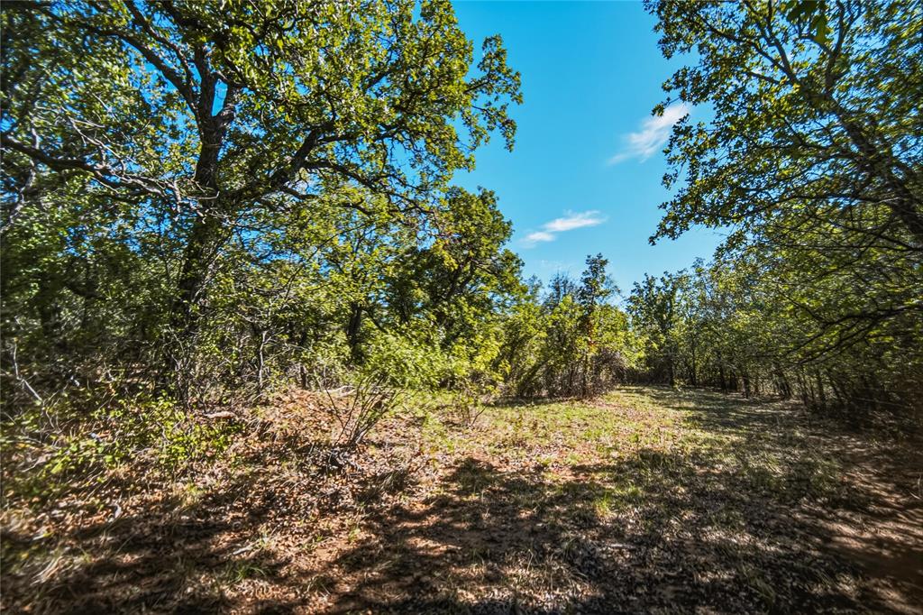 79.72 Acres 114 Highway W - Photo 38