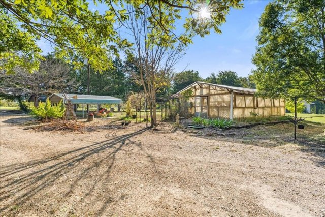 Photo 31