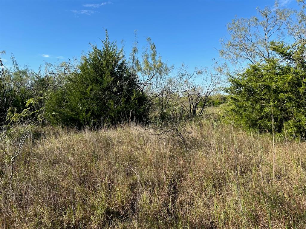 Lot 10 Cedar Prairie - Photo 6