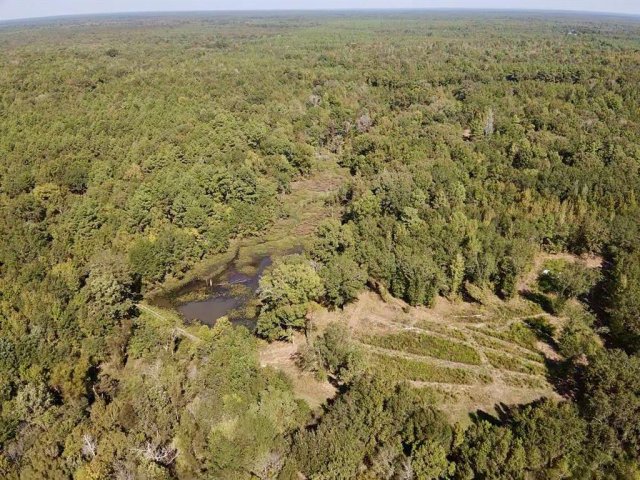 000 County Road 3230