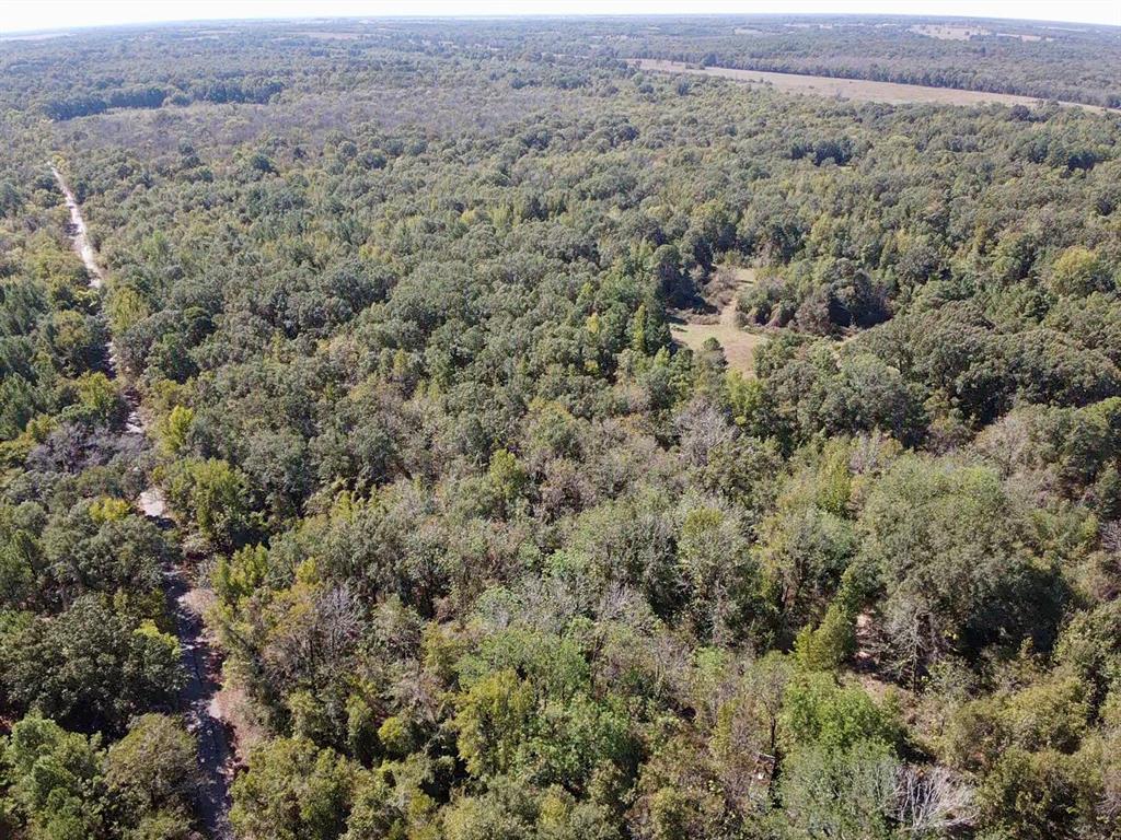 000 County Road 3230 - Photo 2