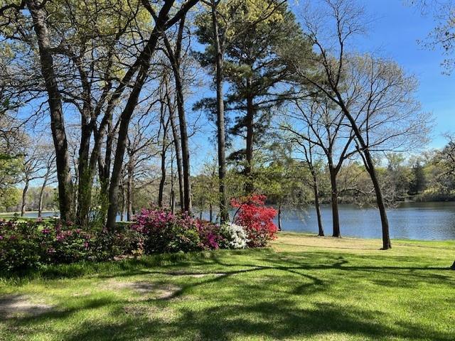 560 COUNTY ROAD 2425 - Photo 3