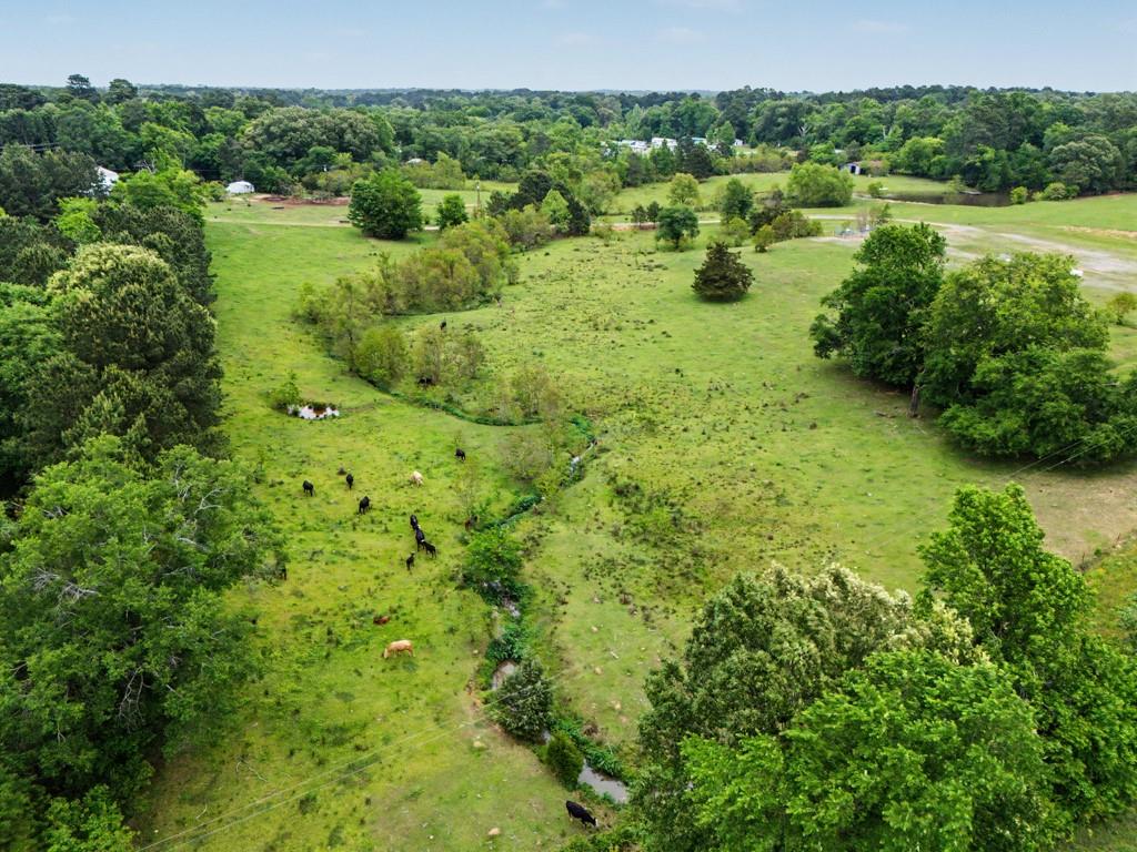 6248 Whitehurst Drive - Photo 12