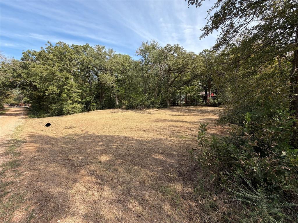 Lot 192 & 193 Ivanhoe Drive - Photo 3