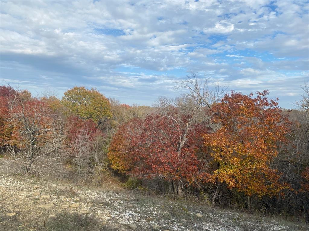 10350 W Clear Creek Road - Photo 23