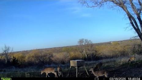 10350 W Clear Creek Road - Photo 25