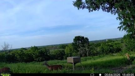 10350 W Clear Creek Road - Photo 26