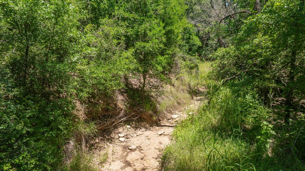 TBD US HWY 281 - Photo 23