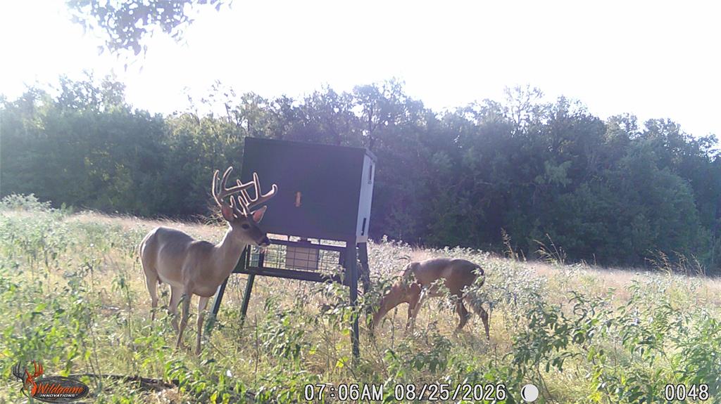 TBD US HWY 281 - Photo 25
