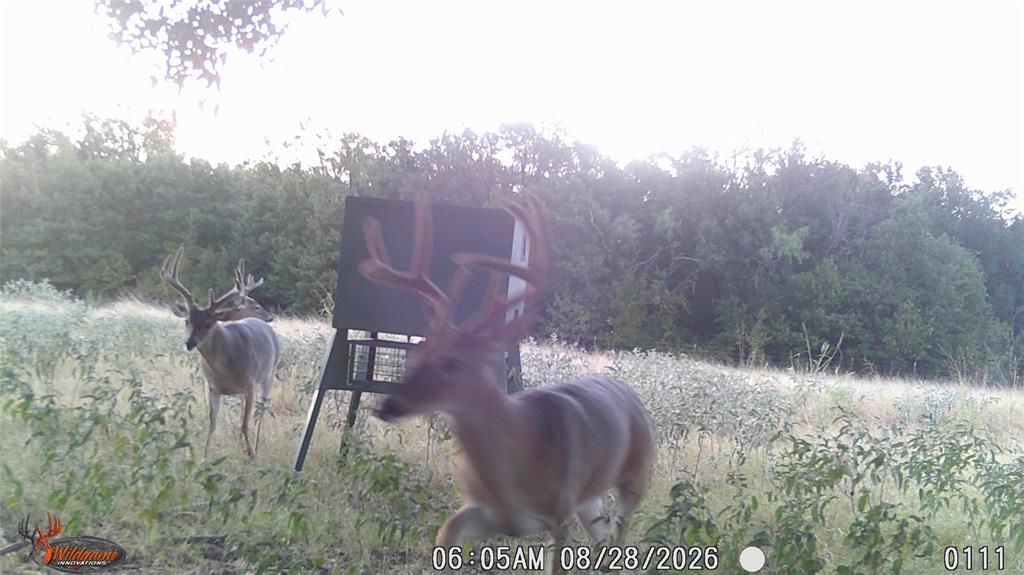 TBD US HWY 281 - Photo 27