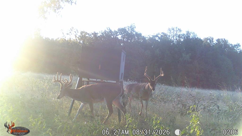 TBD US HWY 281 - Photo 29