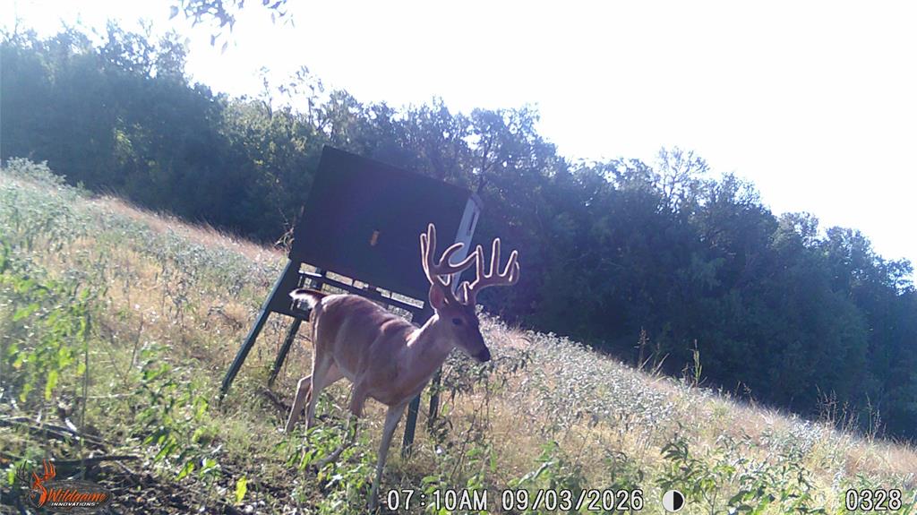 TBD US HWY 281 - Photo 30