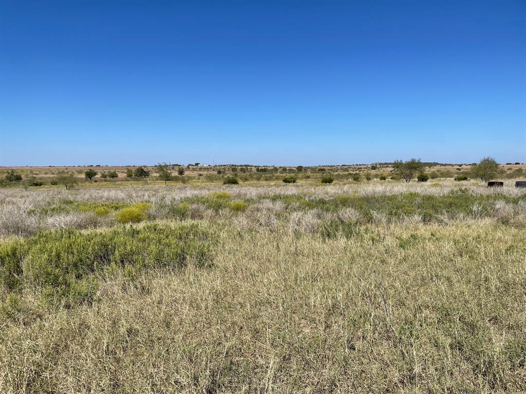 310 County Road 621 - Photo 3