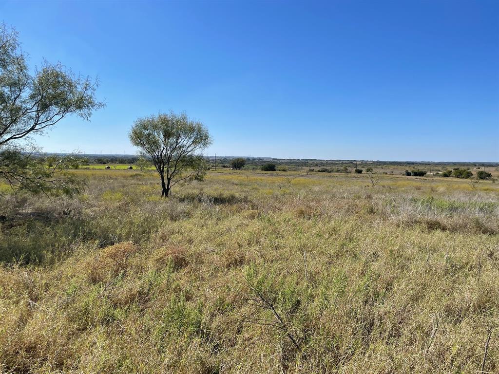 310 County Road 621 - Photo 4
