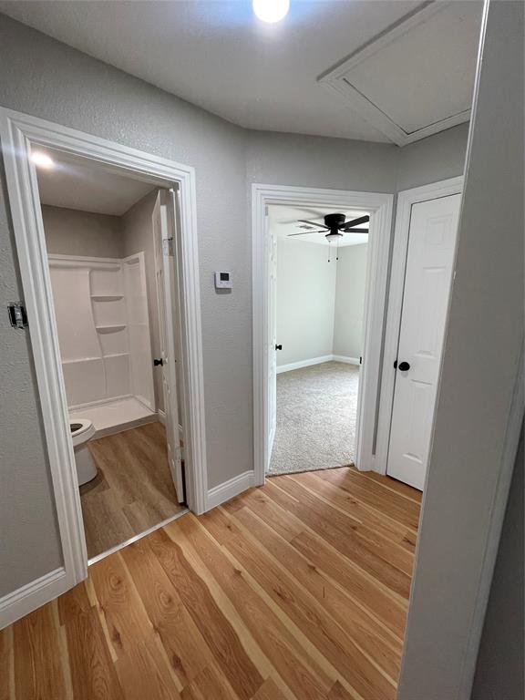 816 Carbona Drive - Photo 8