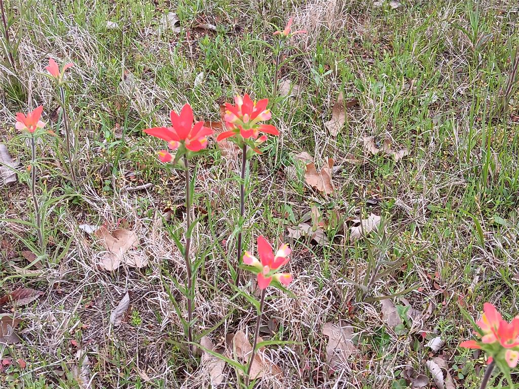 TBD County Road 2256 - Photo 20