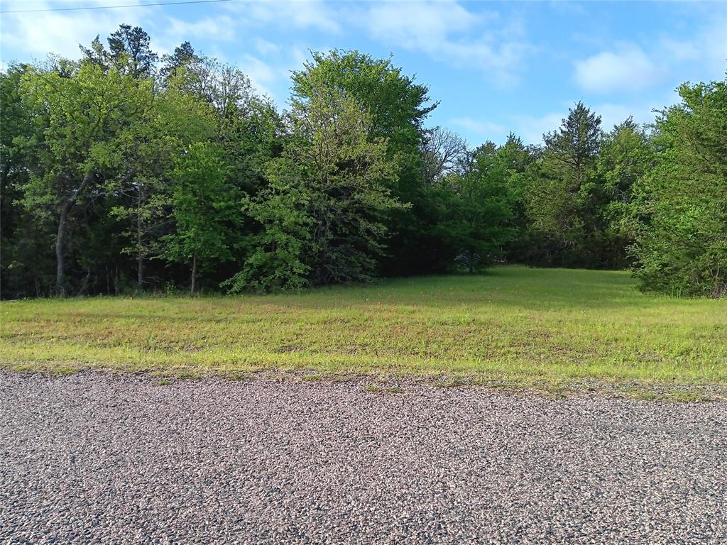 TBD County Road 2256 - Photo 24