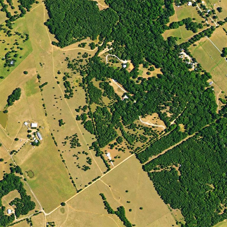 TBD 22 Acres County Road 319 - Photo 2