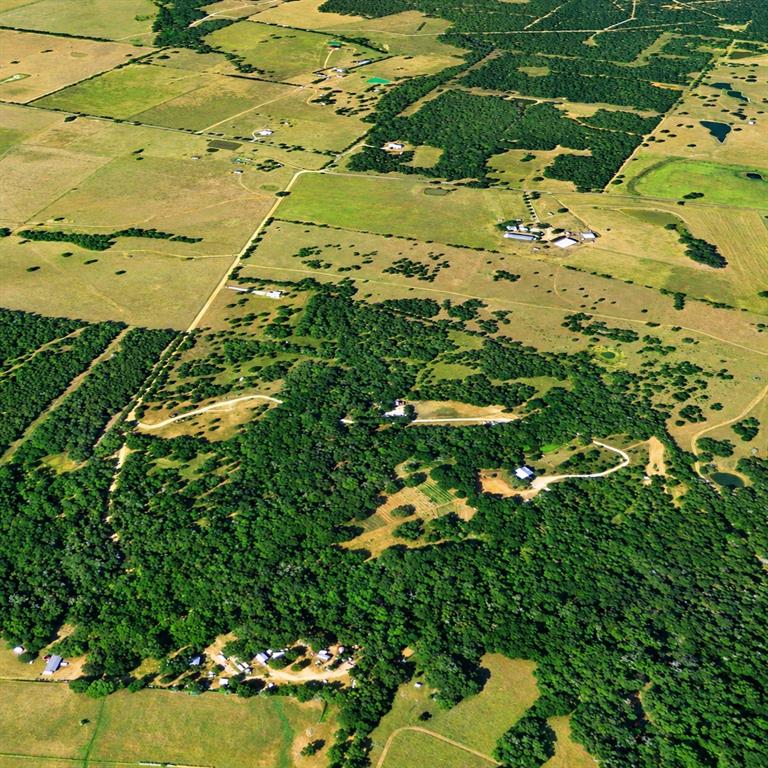 TBD 22 Acres County Road 319 - Photo 4
