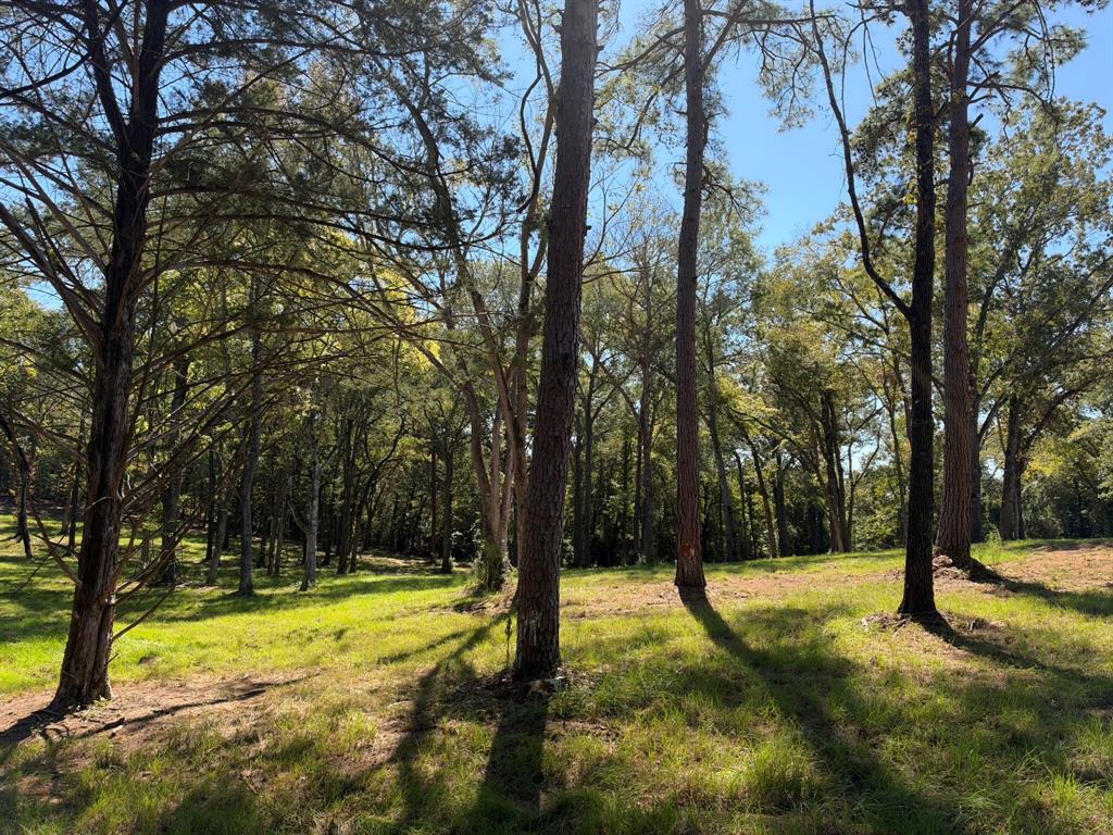 22080 County Road 4117 - Photo 37