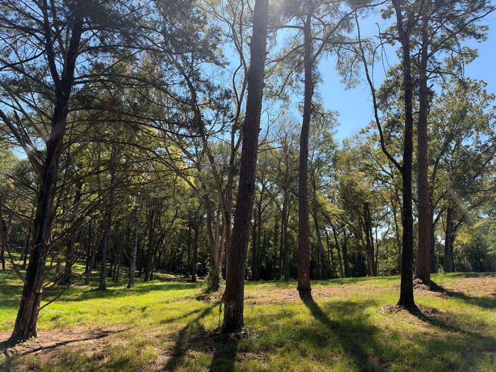 22080 County Road 4117 - Photo 38