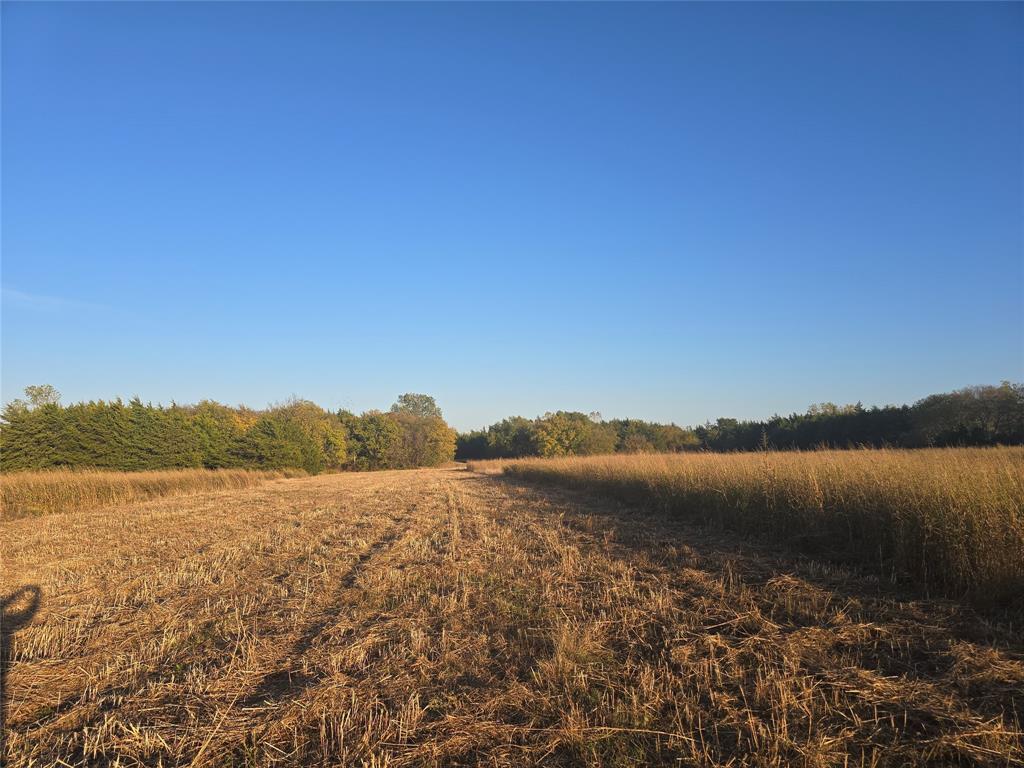 TBD 16Acres Tract 3 County Rd 36000 - Photo 15