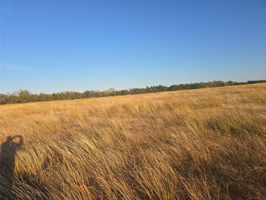 TBD 16Acres Tract 3 County Rd 36000 - Photo 2