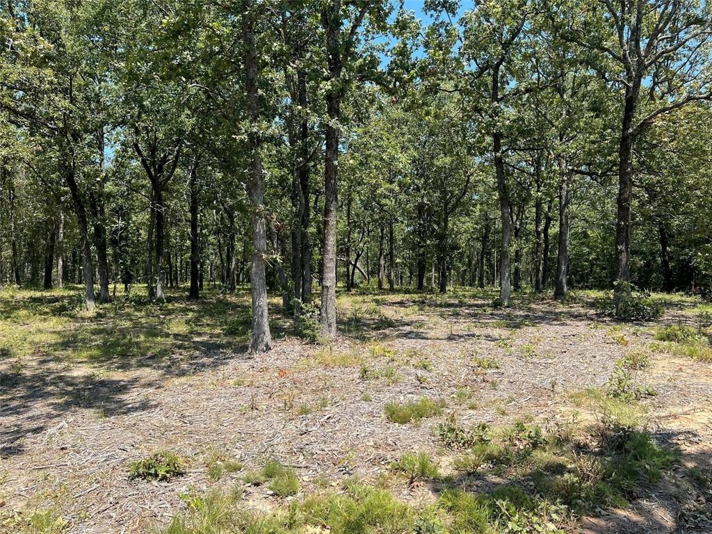 1 Angler Shores Drive - Photo 11
