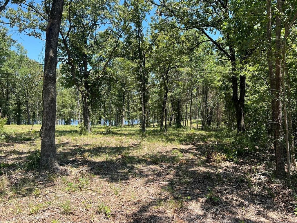 1 Angler Shores Drive - Photo 12