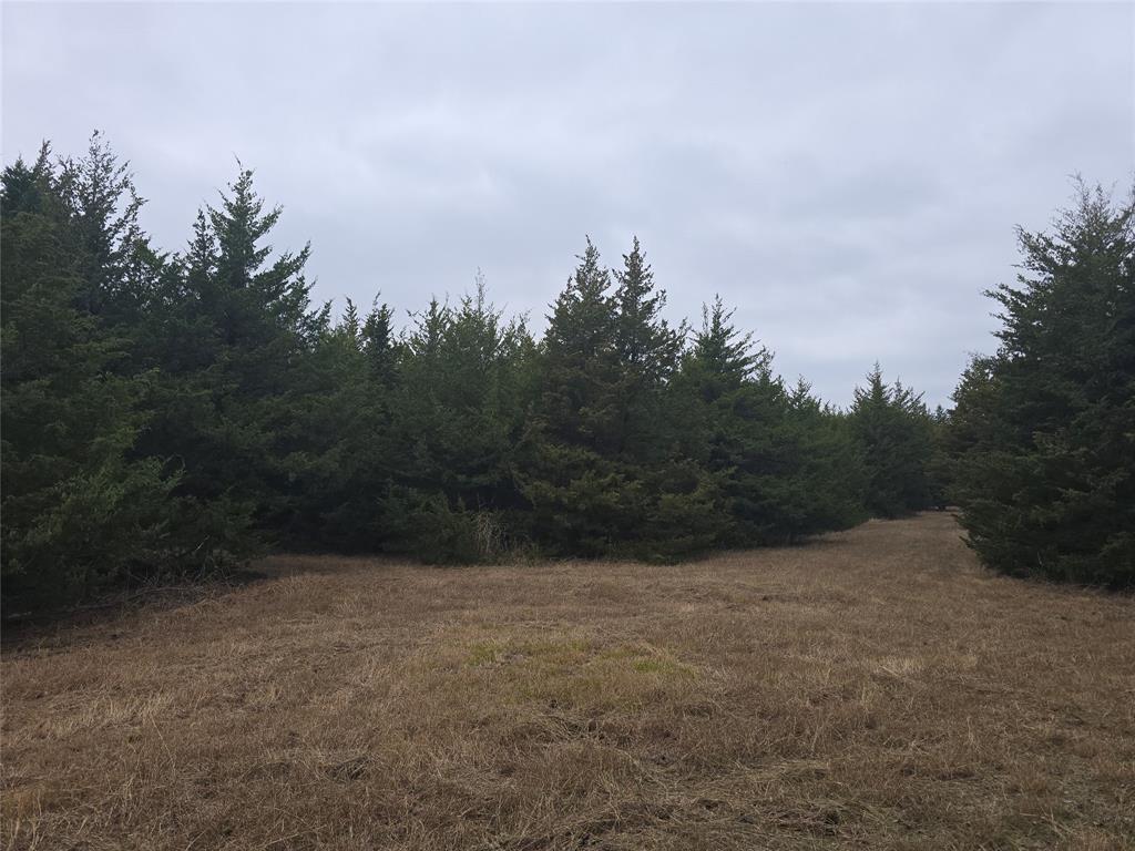 TBD 14 Acres Tract 4 County Rd 36000 - Photo 10