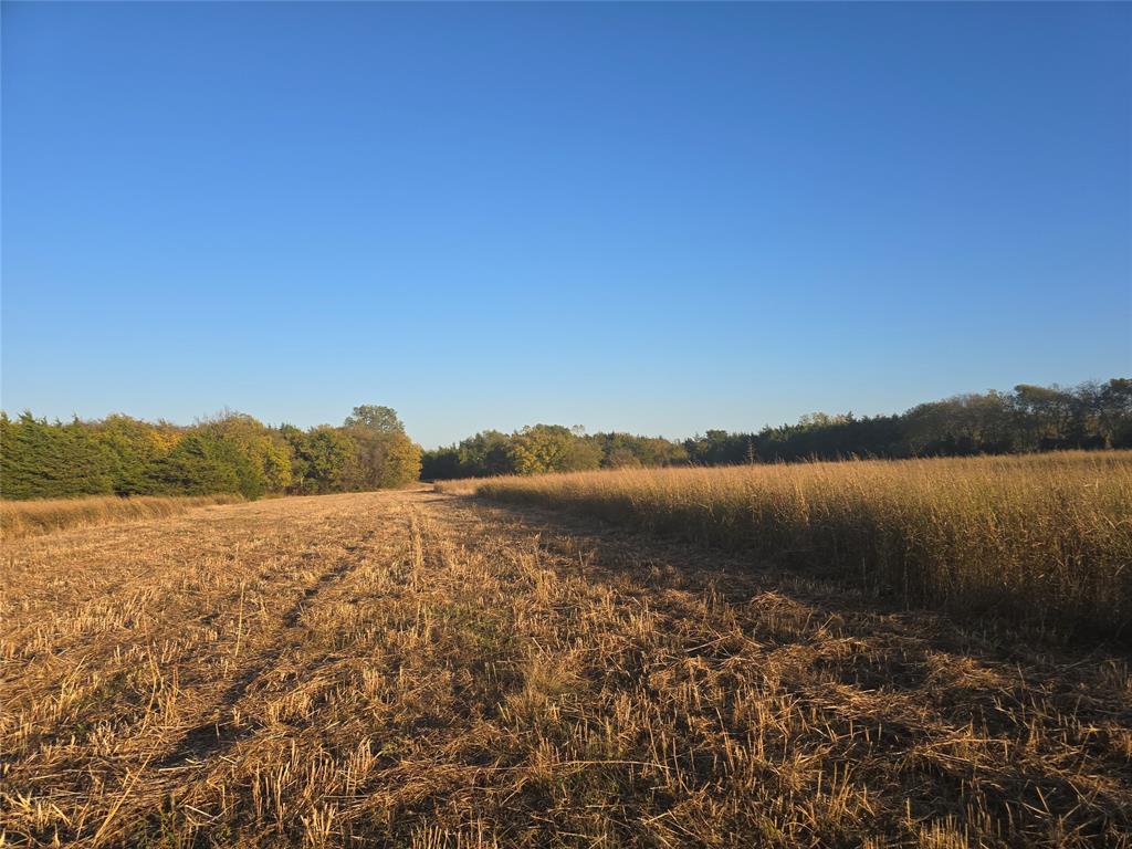 TBD 14 Acres Tract 4 County Rd 36000 - Photo 17