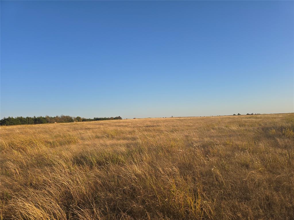 TBD 20 Acres Tract 1 County Rd 36000 - Photo 15