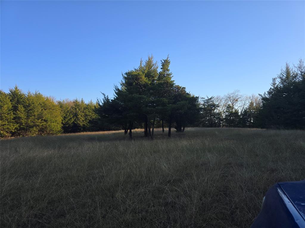 TBD 20 Acres Tract 1 County Rd 36000 - Photo 16