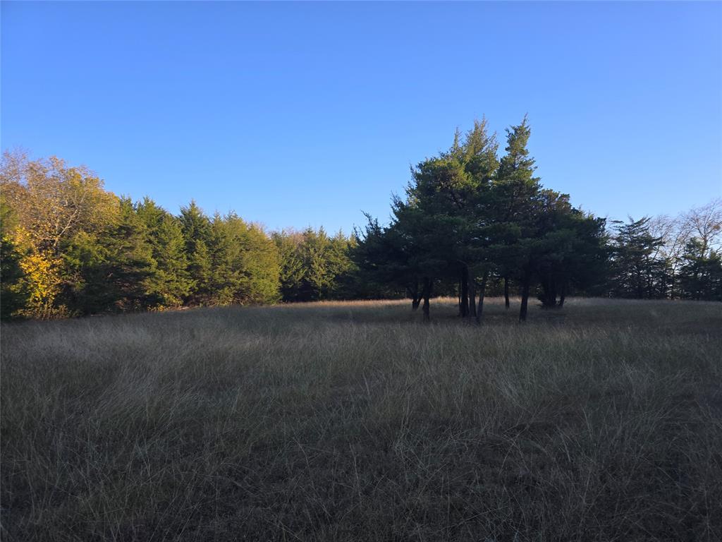 TBD 20 Acres Tract 1 County Rd 36000 - Photo 2
