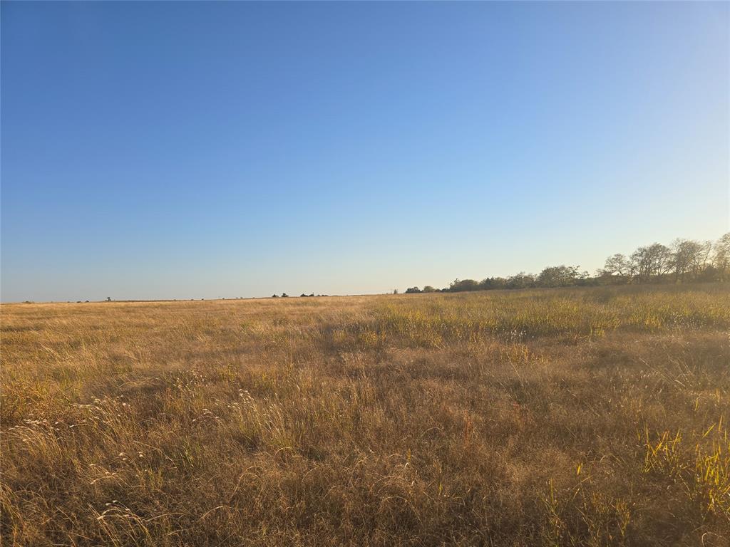 TBD 20 Acres Tract 1 County Rd 36000 - Photo 25