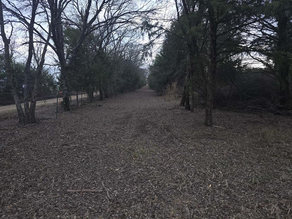 TBD 20 Acres Tract 1 County Rd 36000 - Photo 3