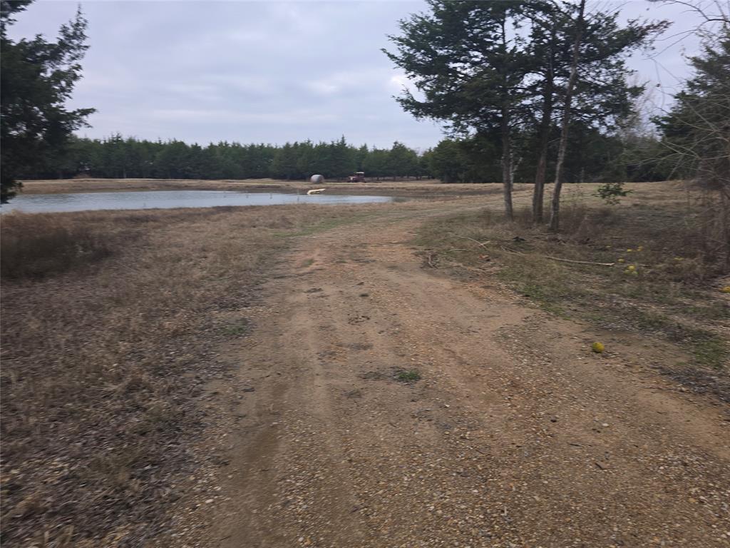 TBD 20 Acres Tract 1 County Rd 36000 - Photo 7