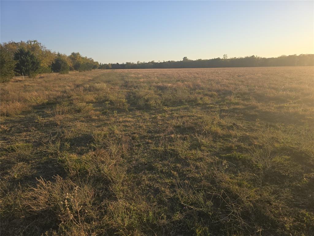 TBD 20 Acres Tract 1 County Rd 36000 - Photo 8