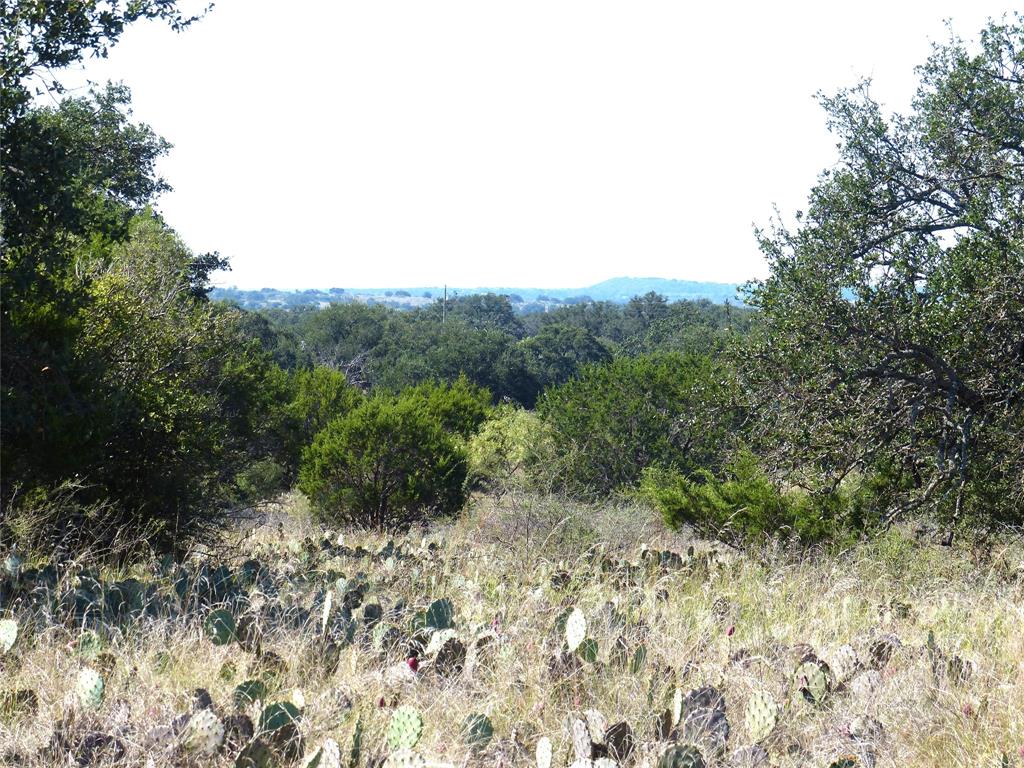 4251 State Hwy 71 - Photo 12