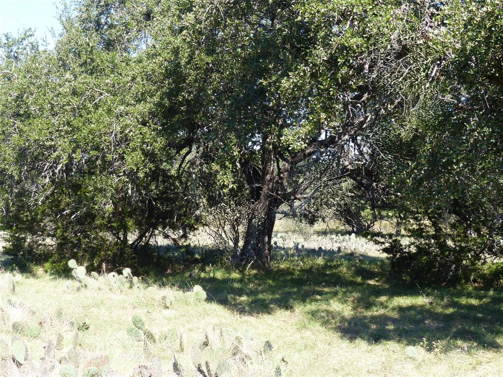 4251 State Hwy 71 - Photo 13