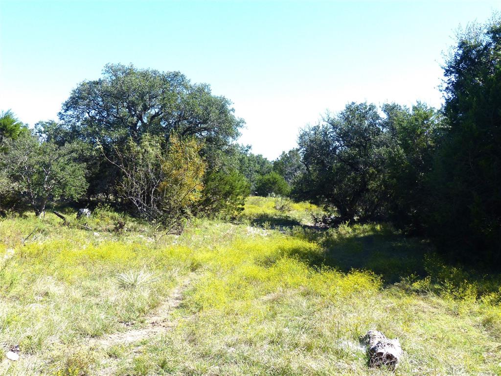 4251 State Hwy 71 - Photo 15