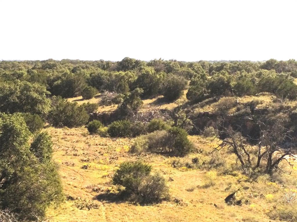 4251 State Hwy 71 - Photo 20