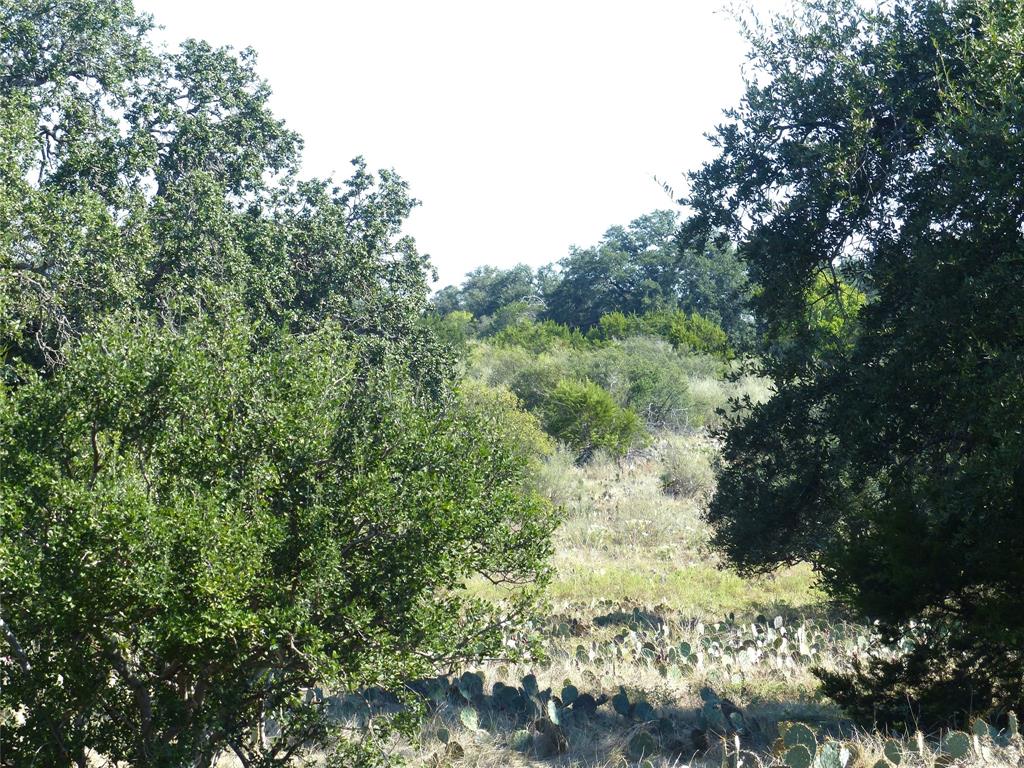 4251 State Hwy 71 - Photo 3