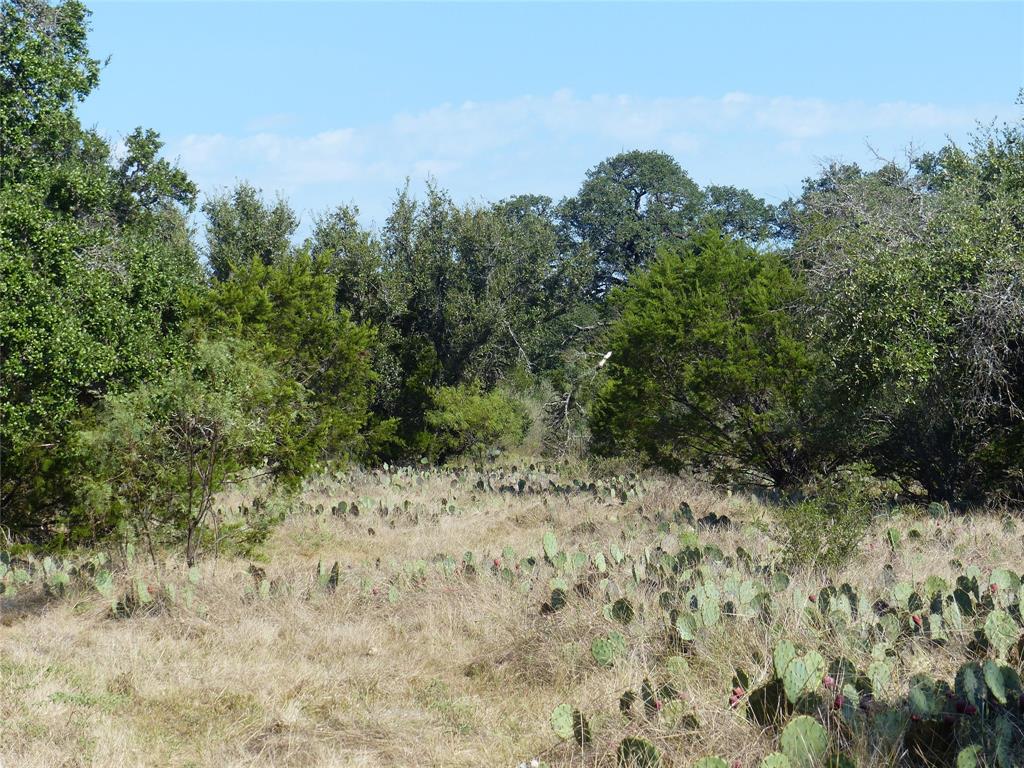 4251 State Hwy 71 - Photo 5